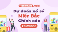 Dự đoán XSMB 17/5/2025 - Soi cầu Xổ Số Miền Bắc ngày 17 tháng 5